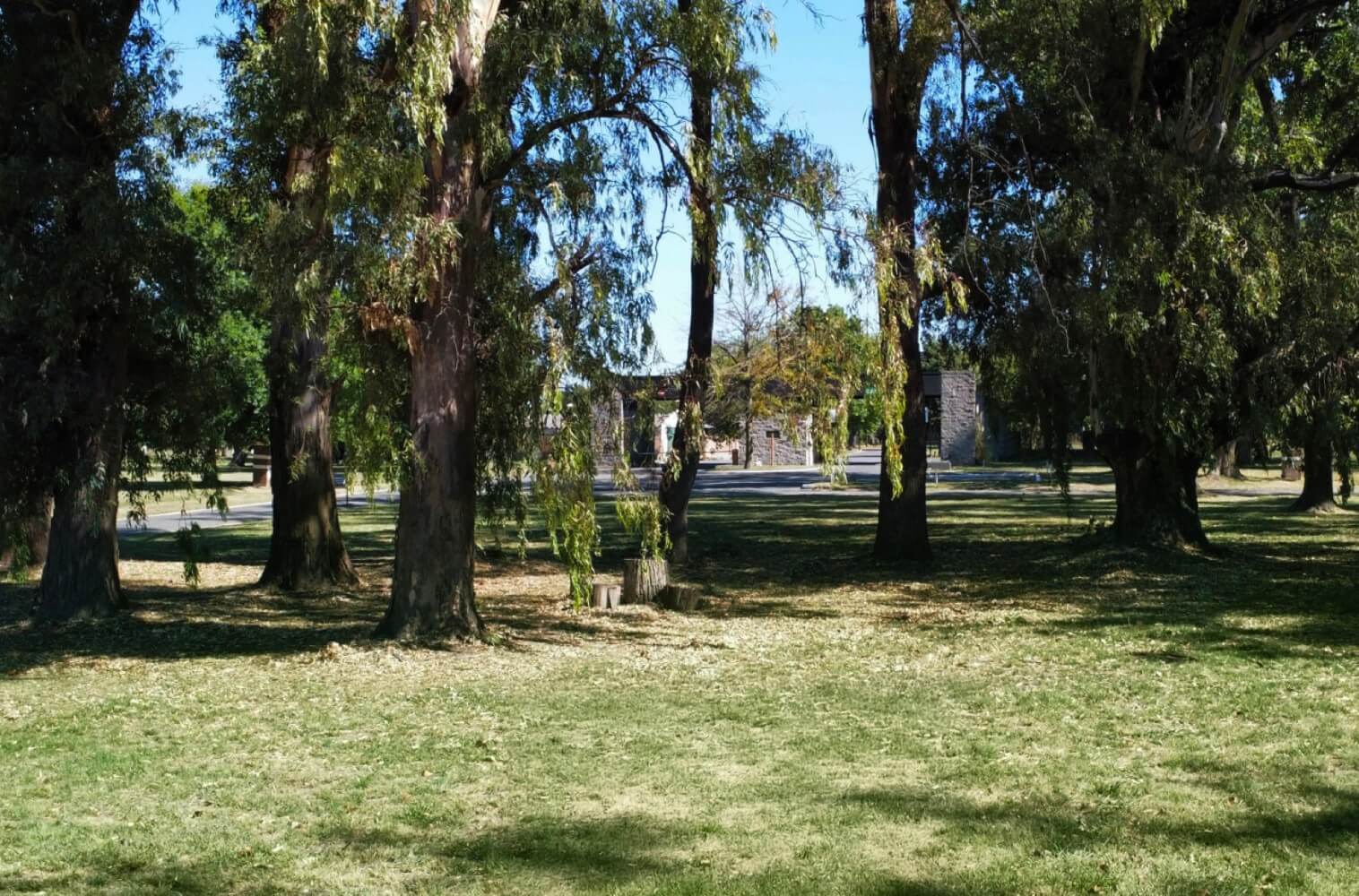 Arboleda nativa preservada dentro de Barrio Cerrado del Golf